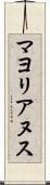 マヨリアヌス Scroll