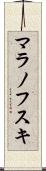マラノフスキ Scroll