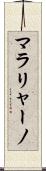 マラリャーノ Scroll