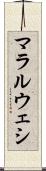 マラルウェシ Scroll