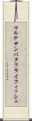 マルケサンバタフライフィッシュ Scroll