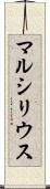 マルシリウス Scroll