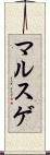 マルスゲ Scroll
