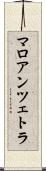 マロアンツェトラ Scroll