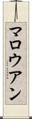 マロウアン Scroll