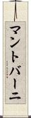 マントバーニ Scroll