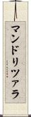 マンドリツァラ Scroll