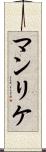 マンリケ Scroll