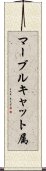 マーブルキャット属 Scroll