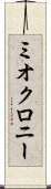 ミオクロニー Scroll