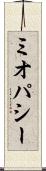 ミオパシー Scroll
