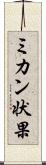 ミカン状果 Scroll
