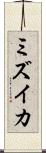 ミズイカ Scroll