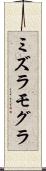 ミズラモグラ Scroll