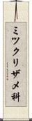ミツクリザメ科 Scroll