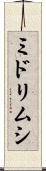ミドリムシ Scroll