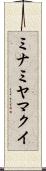 ミナミヤマクイ Scroll