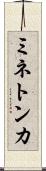 ミネトンカ Scroll