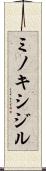 ミノキシジル Scroll