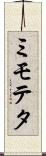 ミモテタ Scroll