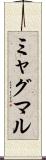 ミャグマル Scroll