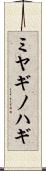 ミヤギノハギ Scroll