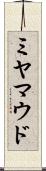 ミヤマウド Scroll