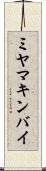 ミヤマキンバイ Scroll
