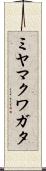 ミヤマクワガタ Scroll