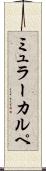 ミュラーカルペ Scroll