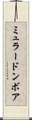 ミュラードンボア Scroll