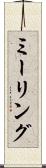 ミーリング Scroll