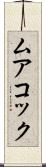 ムアコック Scroll