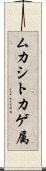 ムカシトカゲ属 Scroll