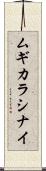 ムギカラシナイ Scroll