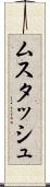 ムスタッシュ Scroll