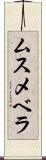 ムスメベラ Scroll