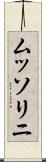 ムッソリニ Scroll