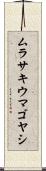 ムラサキウマゴヤシ Scroll