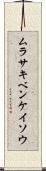 ムラサキベンケイソウ Scroll