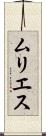 ムリエス Scroll