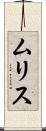 ムリス Scroll