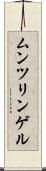 ムンツリンゲル Scroll