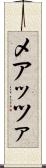 メアッツァ Scroll