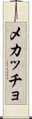 メカッチョ Scroll