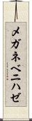 メガネベニハゼ Scroll
