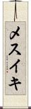 メスイキ Scroll