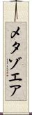 メタゾエア Scroll