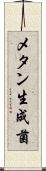 メタン生成菌 Scroll