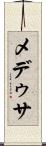 メデゥサ Scroll